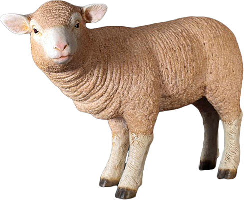 Resin Standing Merino Lamb - Click Image to Close